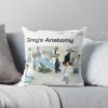 throwpillowsmall1000x bgf8f8f8 c020010001000 3 - Grey's Anatomy Merch