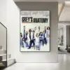 Sc4dbbcbc6db648c5b9fea815a0bef026Z - Grey's Anatomy Shop